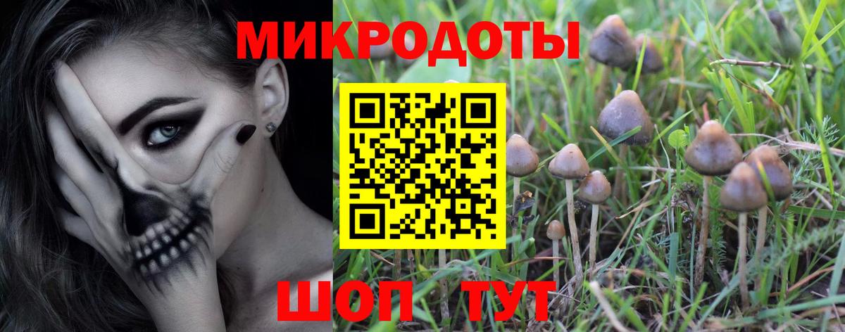 Галлюциногенные грибы Magic Shrooms  Галлюциногенные грибы мухоморы  Торжок  Вход с VPN 